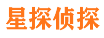 安岳市调查公司